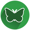 Butterfly Icon