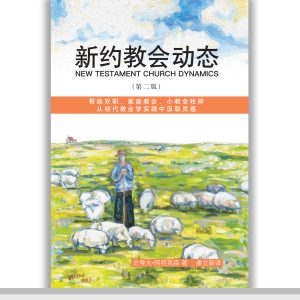 Tr20b→ 中文简体  (Simplified Chinese, paperback)