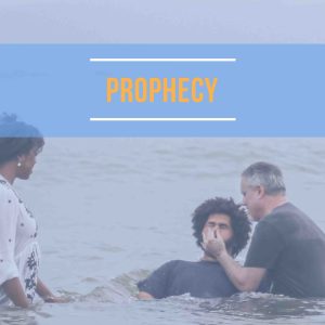 NT28 → "Prophecy in Perspective" (Audio Series + PDF Teacher's Notes)